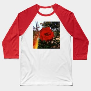 Red Rose. Los Angeles Baseball T-Shirt